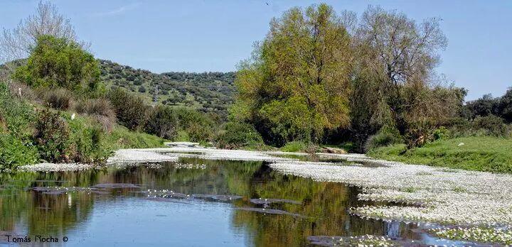 Hostal El Camionero Burguillos Del Cerro المظهر الخارجي الصورة